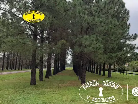ALQ  CASA PILETA 4D. LAS LILAS LUJAN T.11200M2