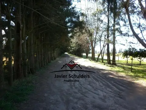 Campo en Venta de 6  ha
