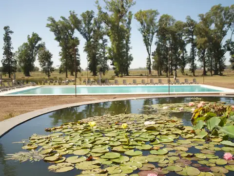 Tres Pinos, Villa de Campo