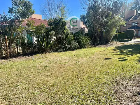 Almafuerte 3900