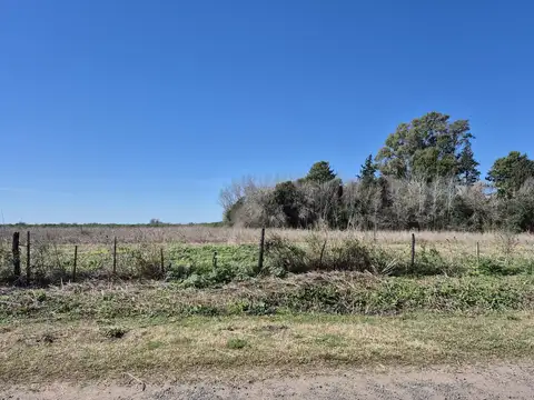 Fracción campo 9,90 hás en Roldán