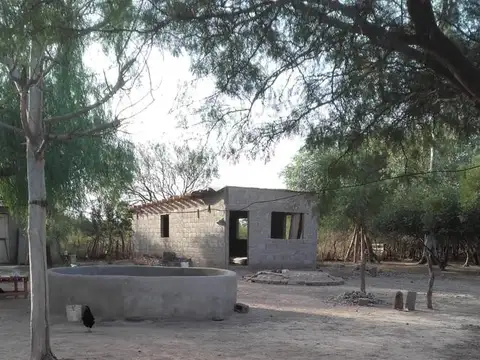ulapes