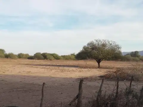 ulapes