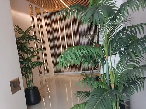 Departamento de 2 ambientes super luminoso, vista abierta a pulmon de manzana.