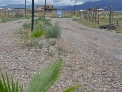 Terreno en Venta en Lujan de Cuyo, USD 10.600