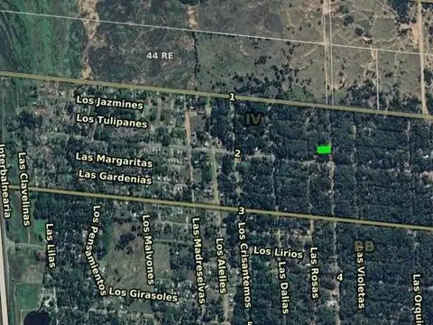 Avenida Interbalnearia Interna e/ Avenida 1 y Avenida 2