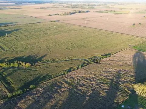 Ruta Provincial 41 100