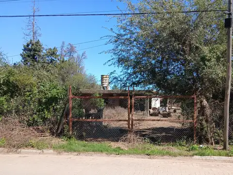 VICTORINO BUSCONI al 600