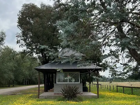Terreno en Venta de 7800,0 m2