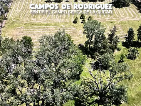 Terreno en Venta de 7800,0 m2