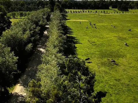 Terreno en Campos de Rodriguez, Corrientes 5800 - AU del Oeste KM 47