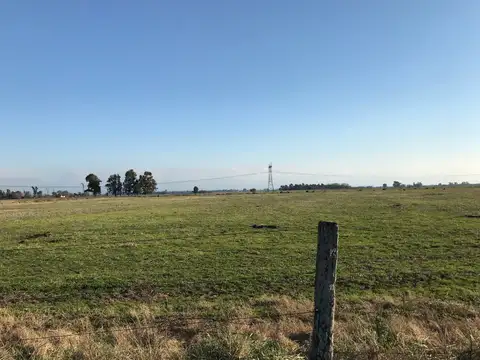 HECTOR J CAMPORA 100