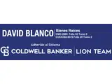 Coldwell Banker Lion Team