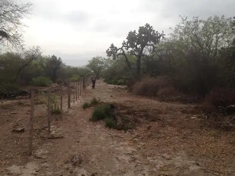 Campo en Venta de 154  ha
