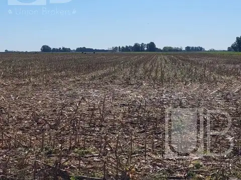 Campo en Saladillo