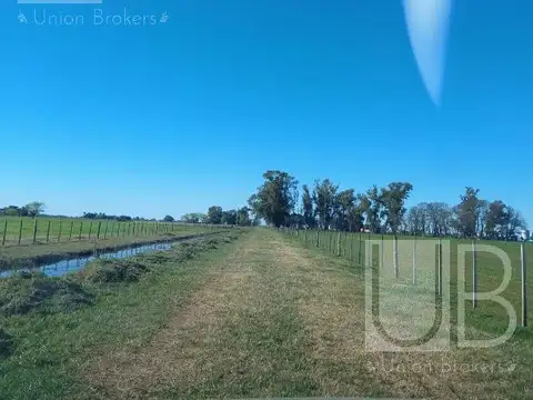 Campo en Saladillo