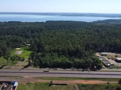 Campo en Venta Industrialización