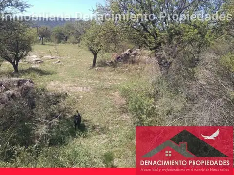 Toro Muerto