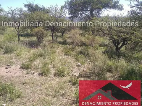 Terreno en Venta 1.000  mts Frente