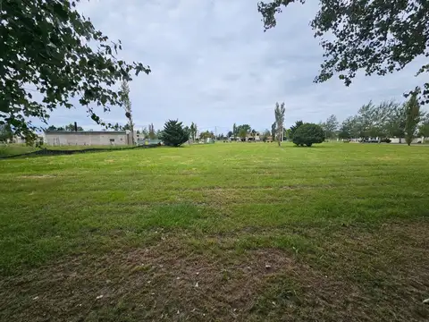 VENTA LOTE DE 1000 M2 EN PINARES DEL SUR PIÑERO