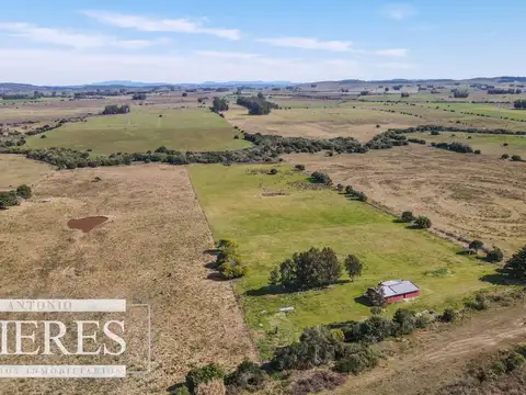 Chacra de 5ha con casa ruta 39 Maldonado