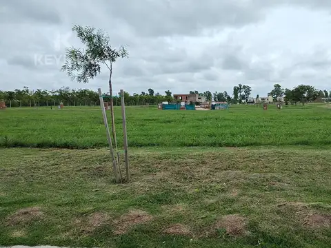 Pilar de Este. SANTA SOFIA