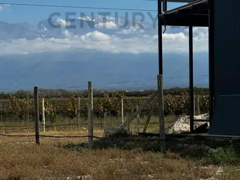 Ruta Provincial 88