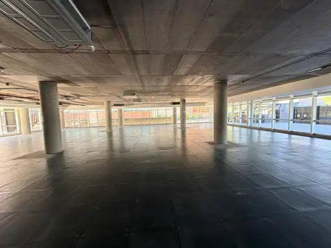 Oficina en Alquiler 1 año