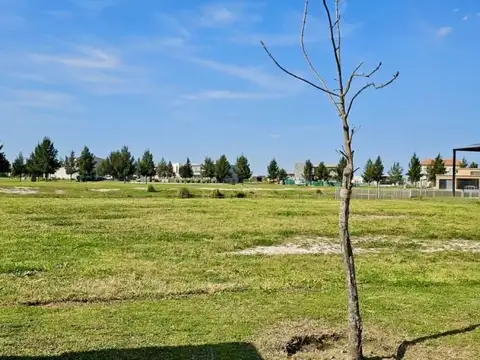 OPORTUNIDAD Lote en venta en El Naudir a la LAGUNA