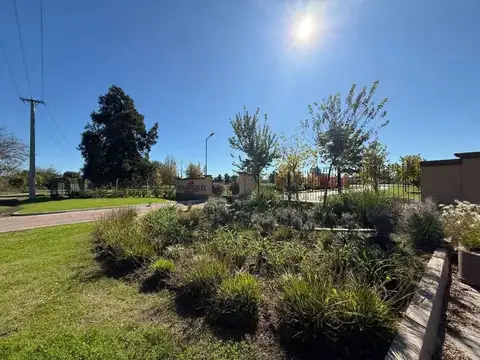 VENTA LOTE MIRABOSQUES CARDALES