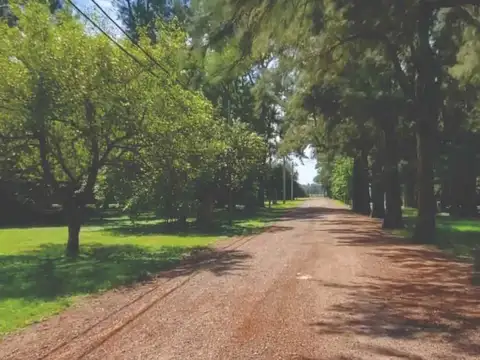 Terreno en Venta en Alejandro Petion, USD 23.000