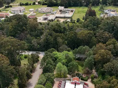 Avenida Aparicio Saravia 100