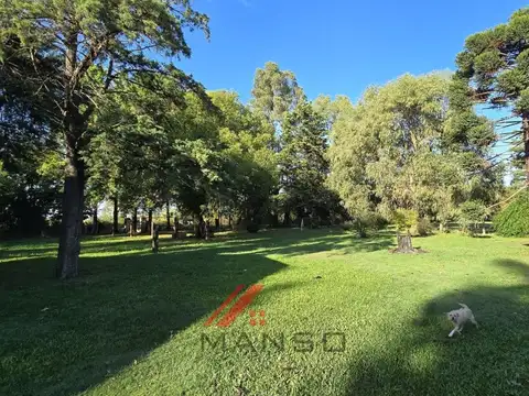 Quinta-Venta-Amplia-Galpon-Arboles-20 De Junio