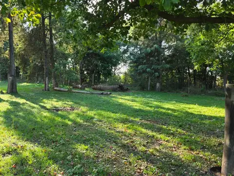 Quinta-Venta-Amplia-Galpon-Arboles-20 De Junio