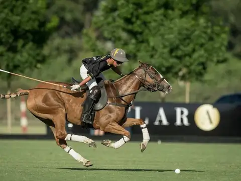 Pilara El Tilbury 100