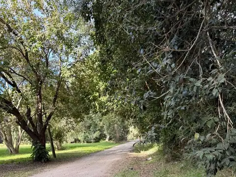 Terreno en Venta de 406,0 m2