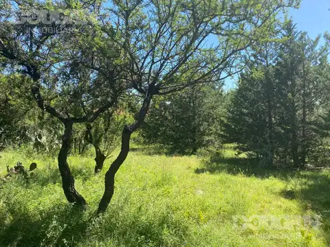 Terreno en Venta - Rincón Del Este