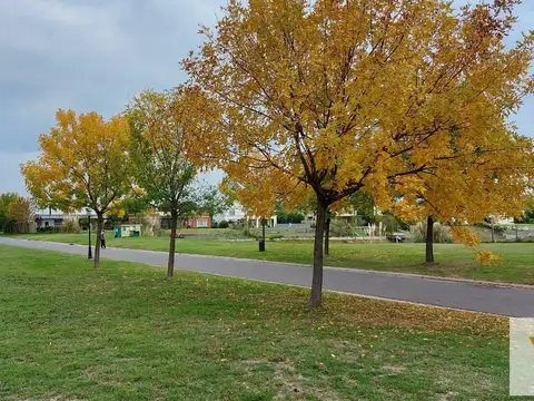 San Matías