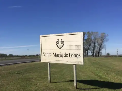 Venta Terreno / Lote en Santa María de Lobos