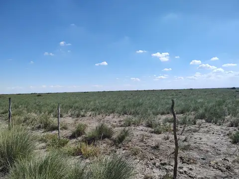 VENTA CAMPO 294 HAS LA RINCONADA RIO SECO CORDOBA