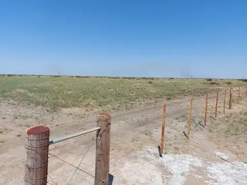 VENTA CAMPO 294 HAS LA RINCONADA RIO SECO CORDOBA