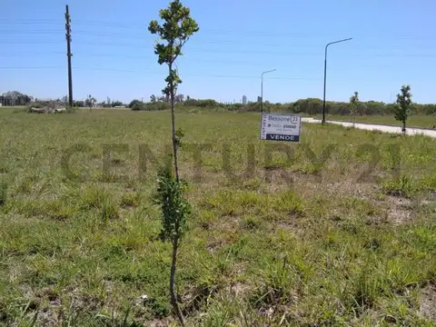 Terreno en Venta 10  mts Frente