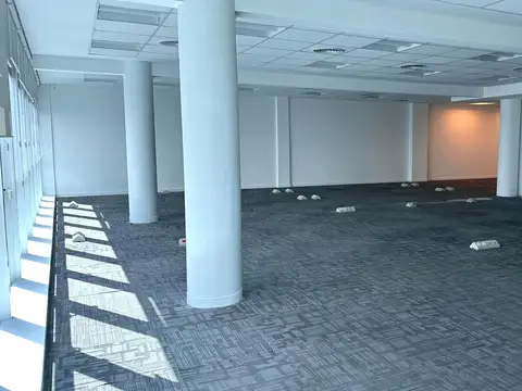 Oficina en Alquiler con 2 cocheras