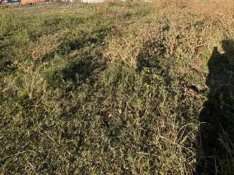 VENTA LOTE EN MIRAMAR CALLE 14 Y 51- VIVERO-