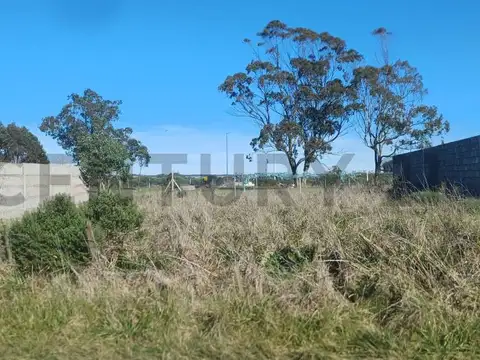 Terreno en Venta 40  mts Fondo