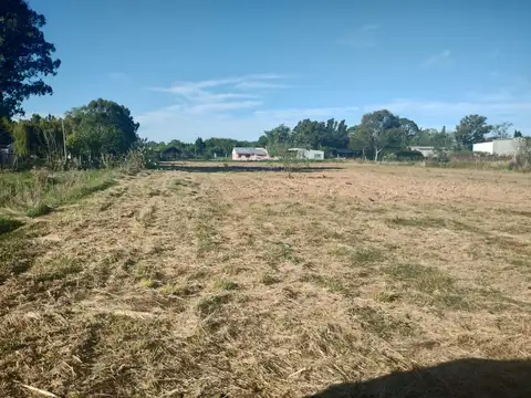 Montevideo y 724