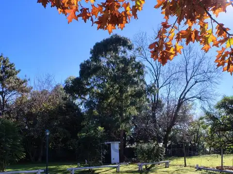 Barrio La Doma , Piso 0