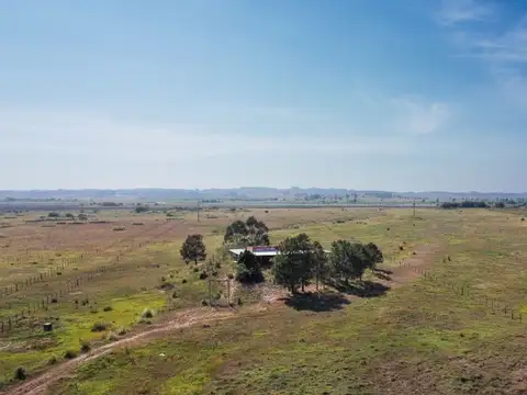 Ruta 100