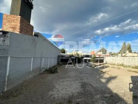 Calle Doctor Andino Cayelli 300