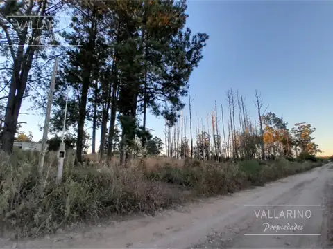 Terreno en Venta en Colon, USD 25.000